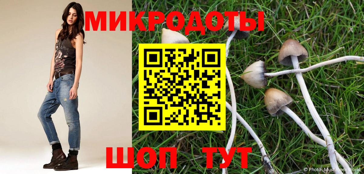 Галлюциногенные грибы Psilocybine cubensis Уссурийск